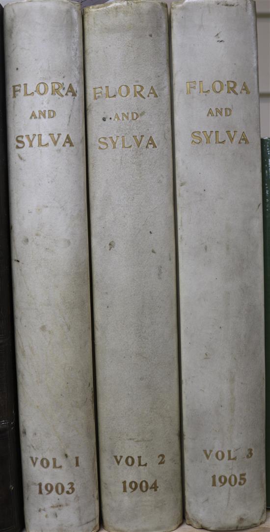 Robinson, William - Flora and Sylva,